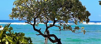 Deluxe 1 Bedroom Ocean View Condo with hot tub and pools & short stroll to beach