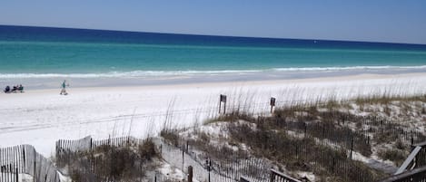 Accommodatie ligt op het strand, ligstoelen, parasols, strandlakens