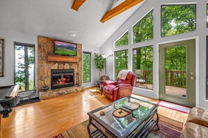 Smart TV, fireplace, DVD player, books