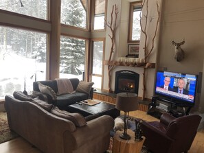 Televisor intel·ligent, llar de foc, reproductor de DVD i llibres 