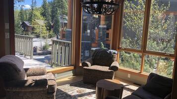 TV connectée, cheminée, lecteur de DVD, livres