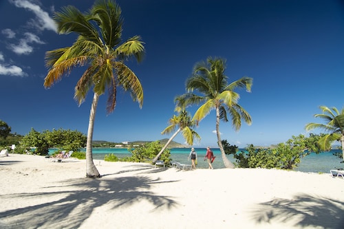 Grand studio rénové - Saphir Village Red Hook - WiFi haut débit privé et gratuit