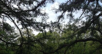 ILMAINEN ratsastus ja hiihto