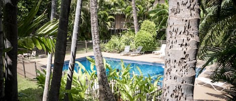 A swimming pool surrounded by tropical vegetation and palm trees.
