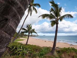 A beach with palm trees, a sandy shore, and a view of the ocean. - Pool View, easy walk to Charley Young or Kam1  beach, comfortable King-bed. AC (Kihei)