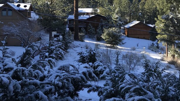 Una cabaña rodeada de árboles cubiertos de nieve y una montaña al fondo.