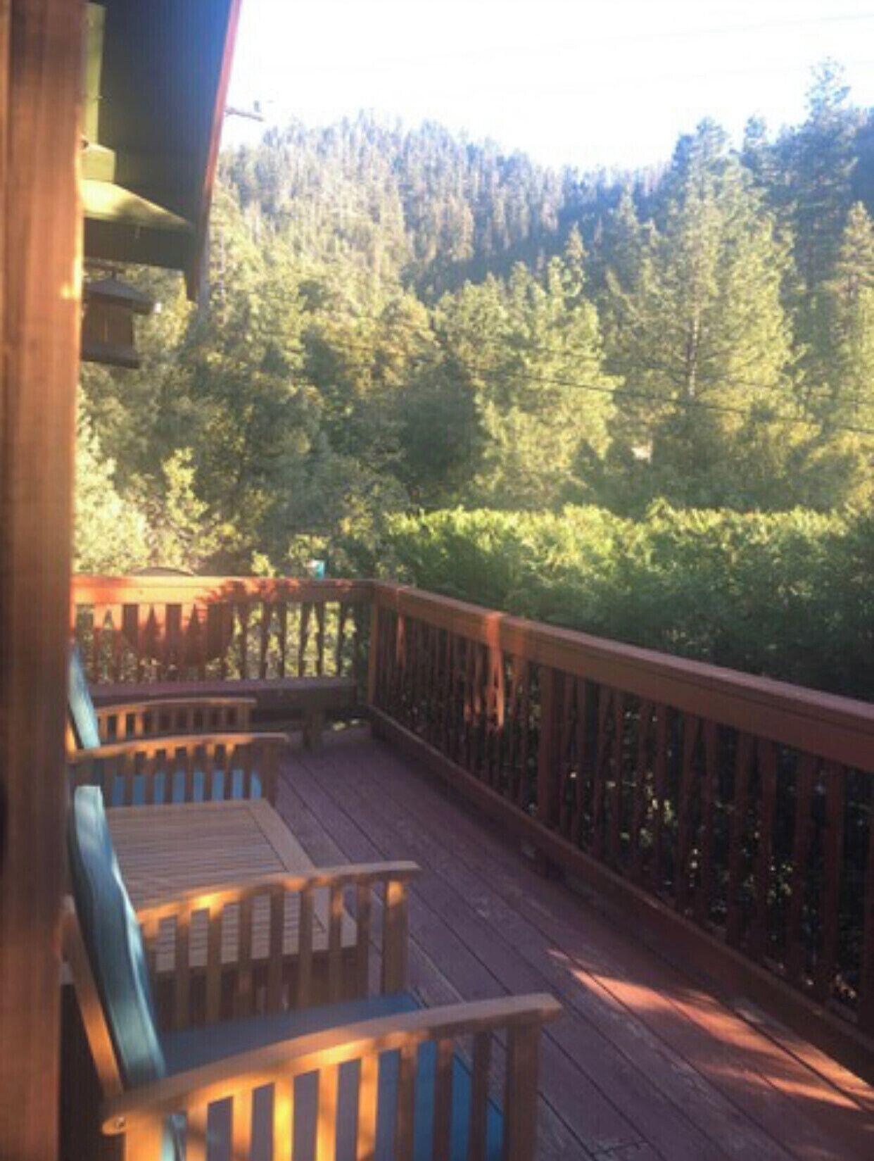 Une terrasse en bois dotée d’une rambarde, qui offre une vue sur une zone boisée.