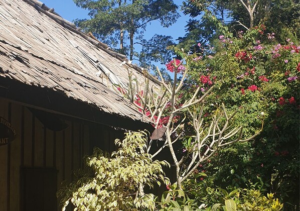 Façade de lâhĂ©bergement