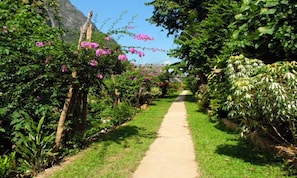 Garden - Nong Kiau Riverside (Nong Khiaw)