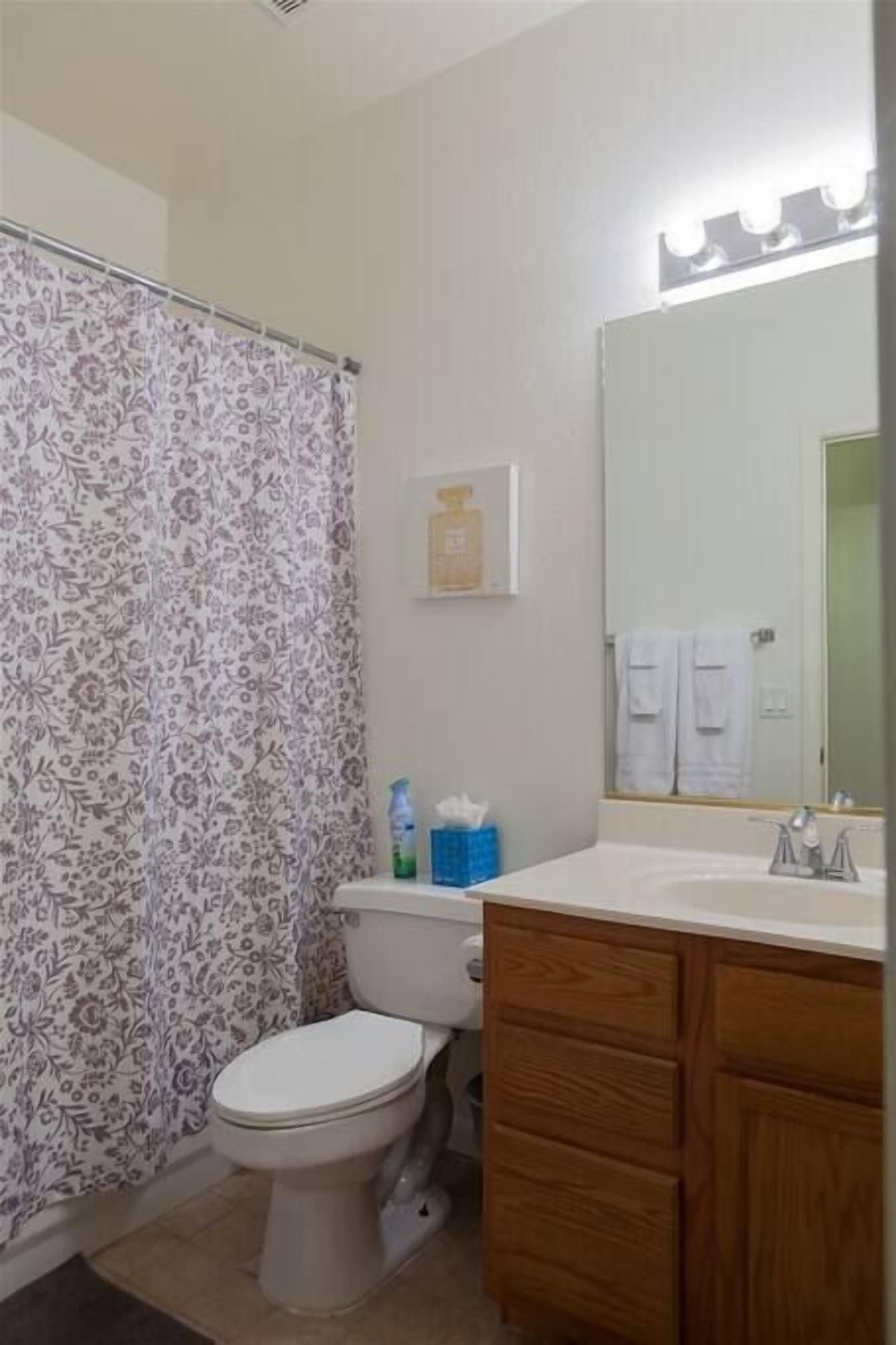 Un bany amb vàter, un lavabo amb mirall i un cortineta de bany.