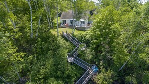 Eine Holztreppe führt zu einem Haus, das von dichtem Grün umgeben ist.