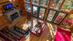 TV, fireplace, video games, books