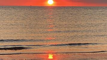 Playa en los alrededores y camastros