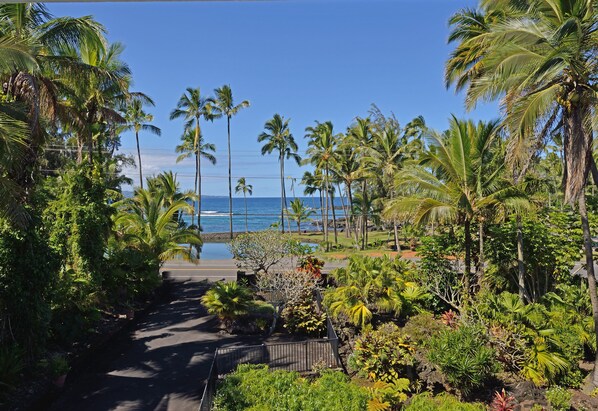 A tropical resort with a paved pathway leading to a beach, surrounded by palm trees and lush greenery.