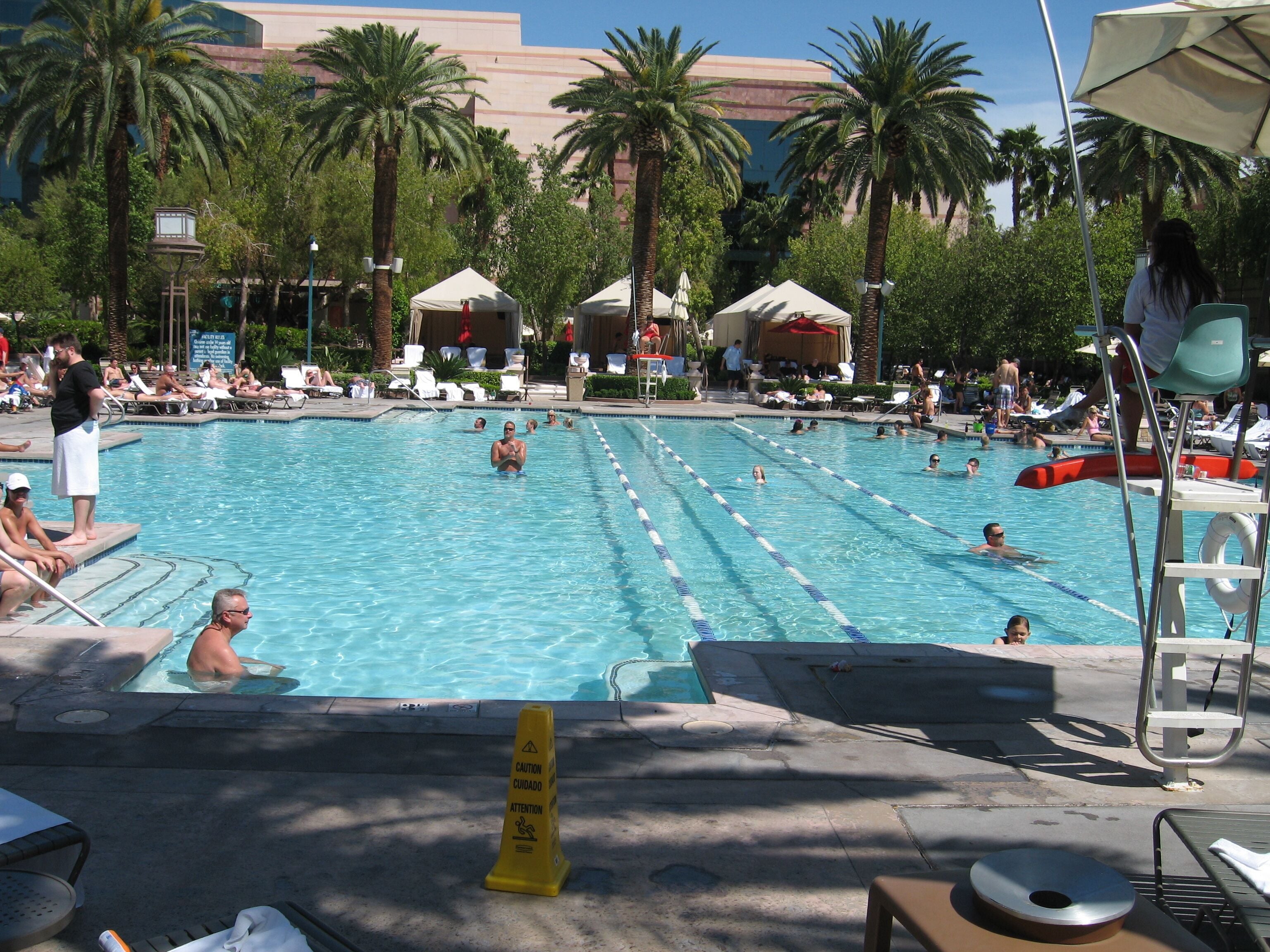 Une piscine avec plusieurs couloirs, entourée de palmiers et de chaises longues.