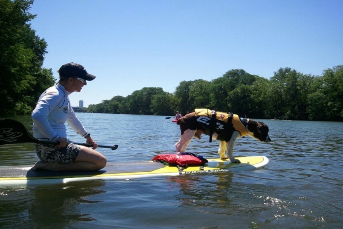 Photo 198 of Glass Treehouse WINTER EXOTIC--KAYAK-SUP/Bike/Hike/POOL-LAKE-RIVER-GARDENS-FOOD