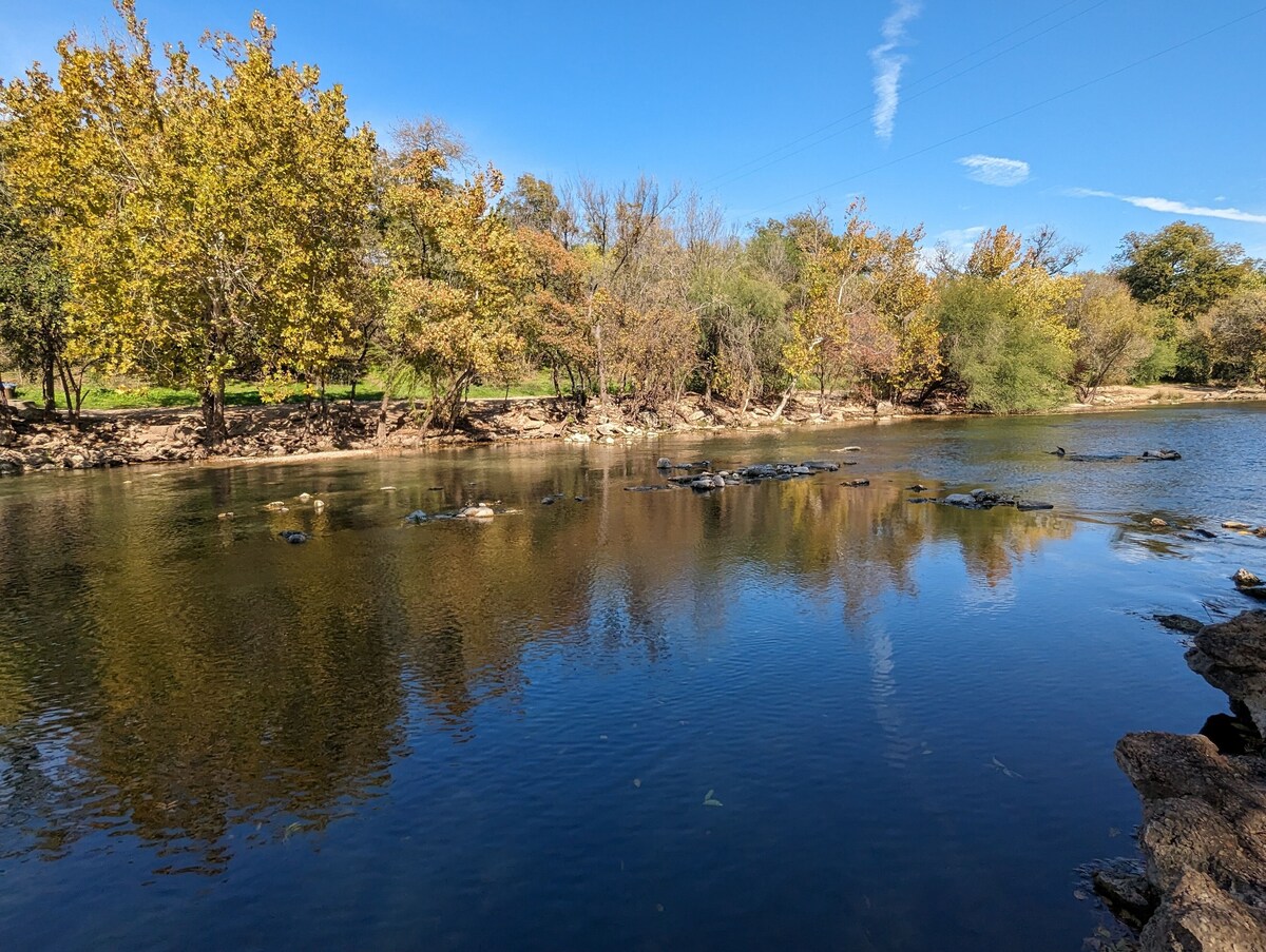 Photo 11 of Glass Treehouse WINTER EXOTIC--KAYAK-SUP/Bike/Hike/POOL-LAKE-RIVER-GARDENS-FOOD