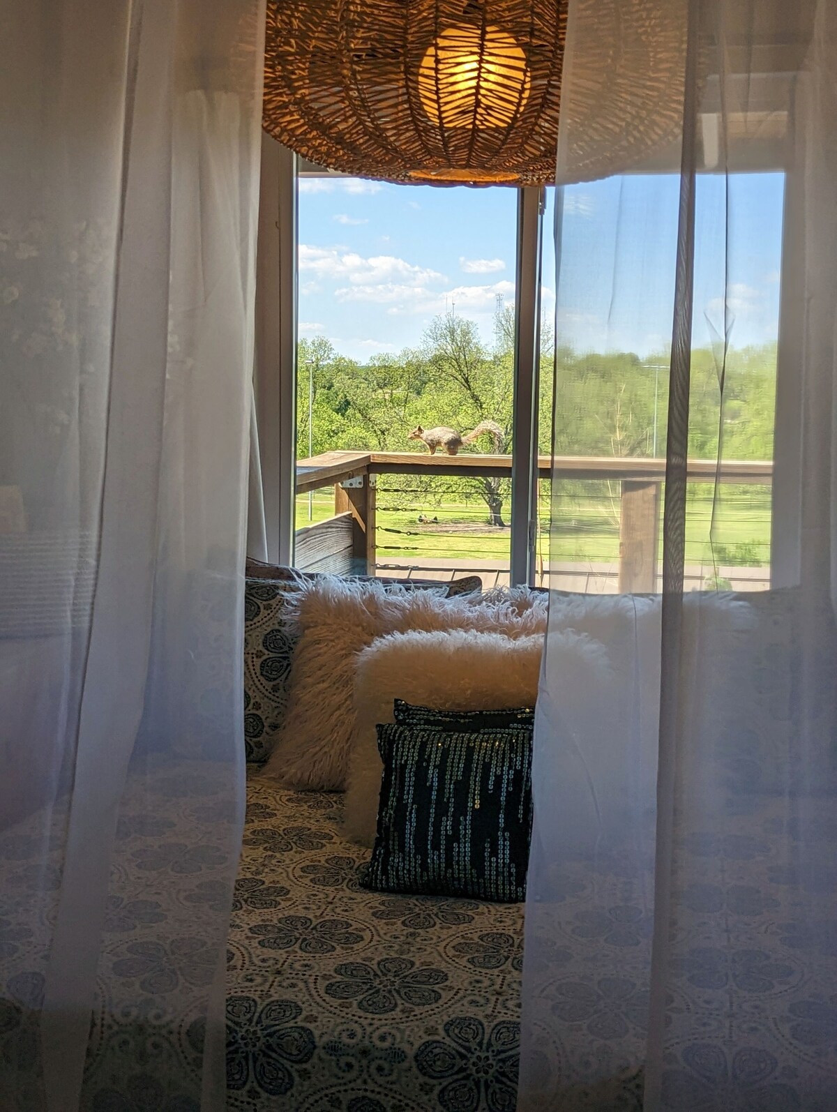 Photo 117 of Glass Treehouse WINTER EXOTIC--KAYAK-SUP/Bike/Hike/POOL-LAKE-RIVER-GARDENS-FOOD