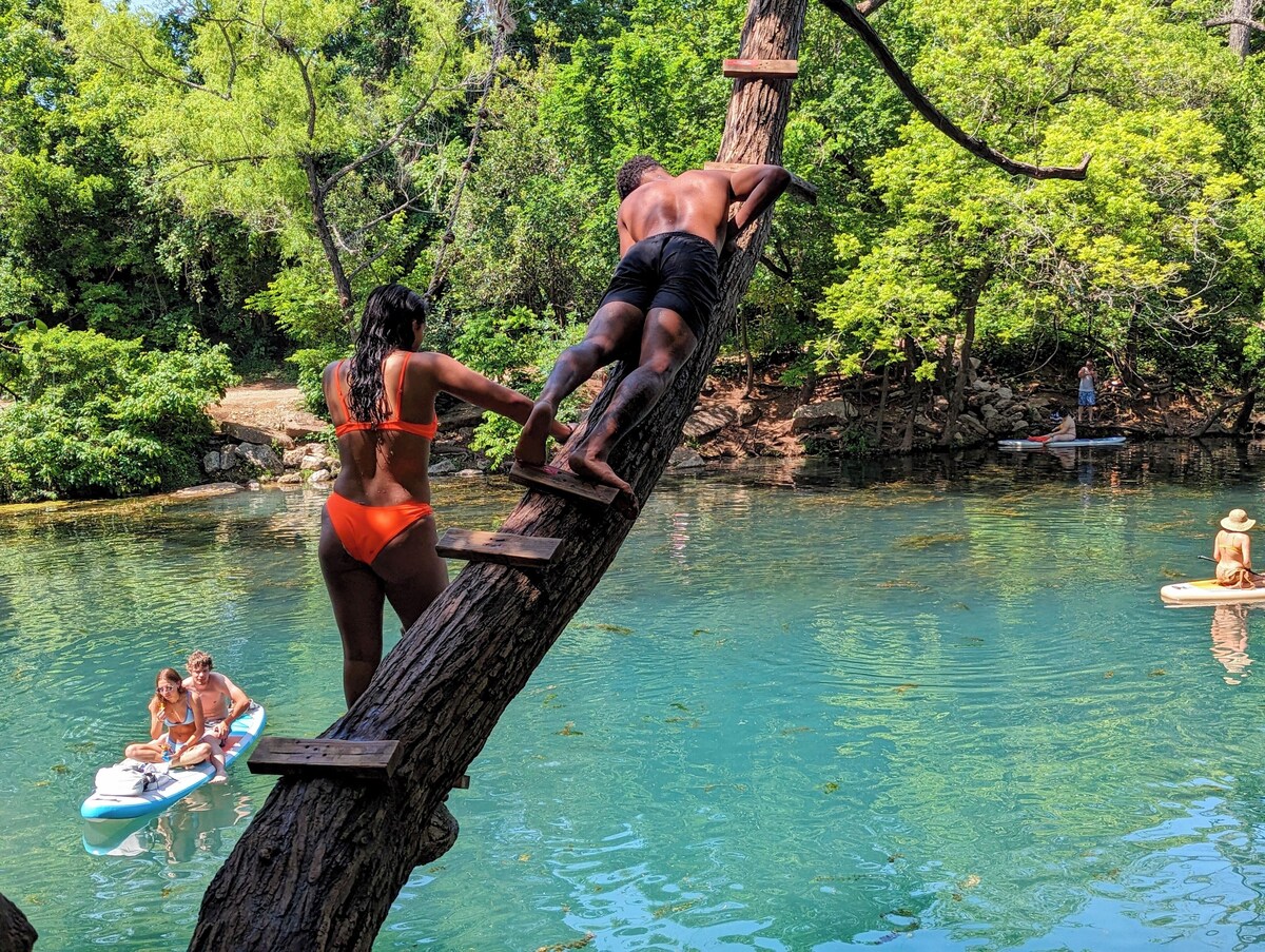 Photo 124 of Glass Treehouse WINTER EXOTIC--KAYAK-SUP/Bike/Hike/POOL-LAKE-RIVER-GARDENS-FOOD