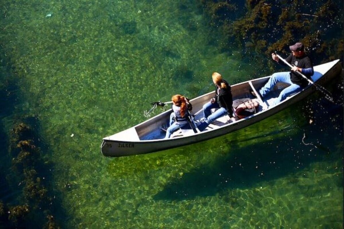 Photo 145 of Glass Treehouse WINTER EXOTIC--KAYAK-SUP/Bike/Hike/POOL-LAKE-RIVER-GARDENS-FOOD
