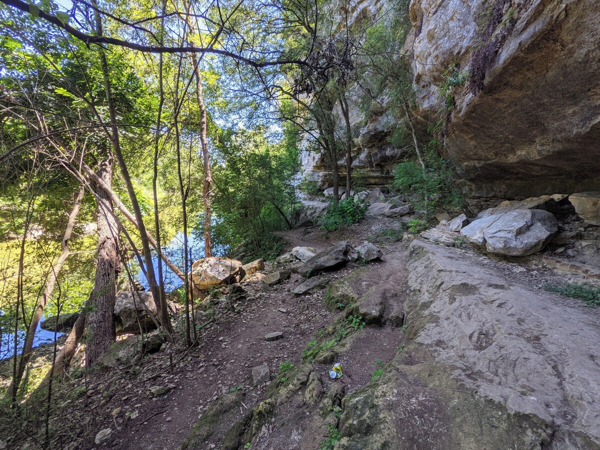Photo 126 of Glass Treehouse WINTER EXOTIC--KAYAK-SUP/Bike/Hike/POOL-LAKE-RIVER-GARDENS-FOOD