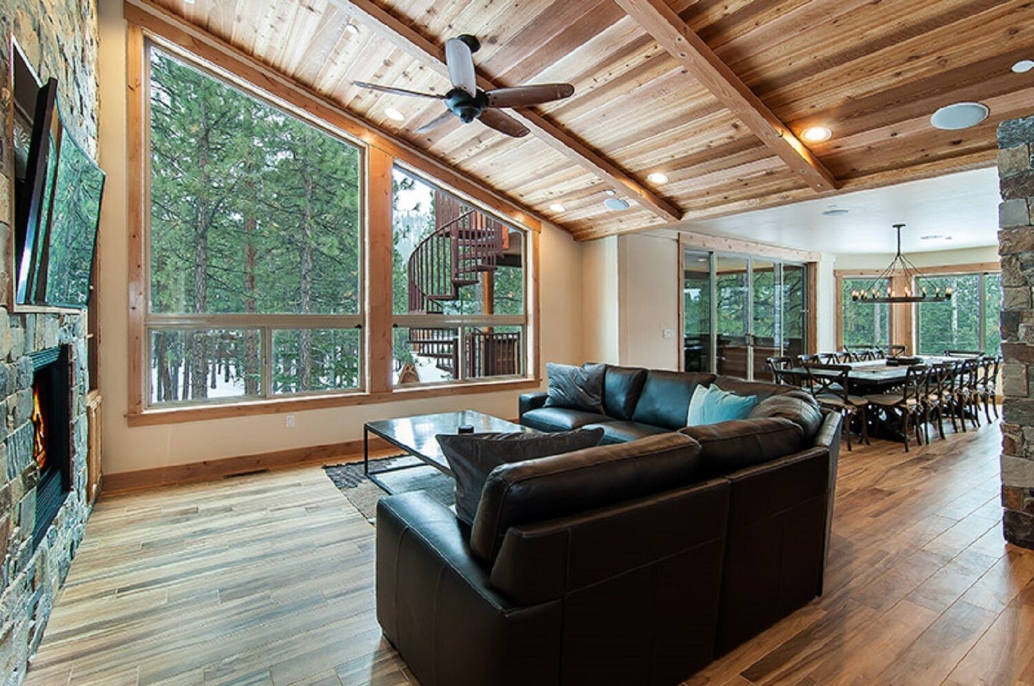 Télévision, cheminée, lecteur de DVD, table de tennis de table