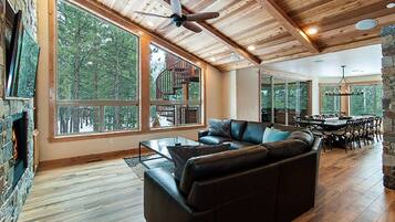 Télévision, cheminée, lecteur de DVD, table de tennis de table