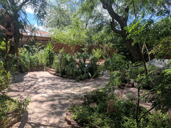Un patio empedrado con diversas plantas y árboles, rodeado por un edificio de fachada de ladrillo.