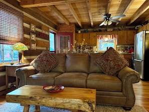 Smart TV, fireplace, DVD player, books
