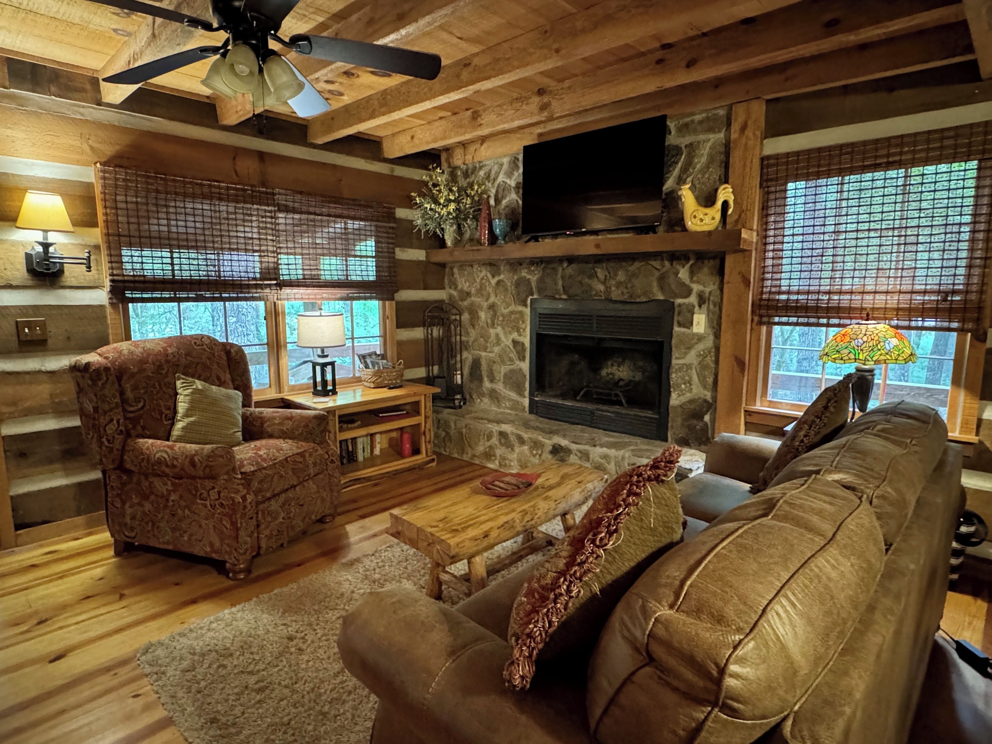 Smart TV, chimenea, reproductor de DVD y libros 