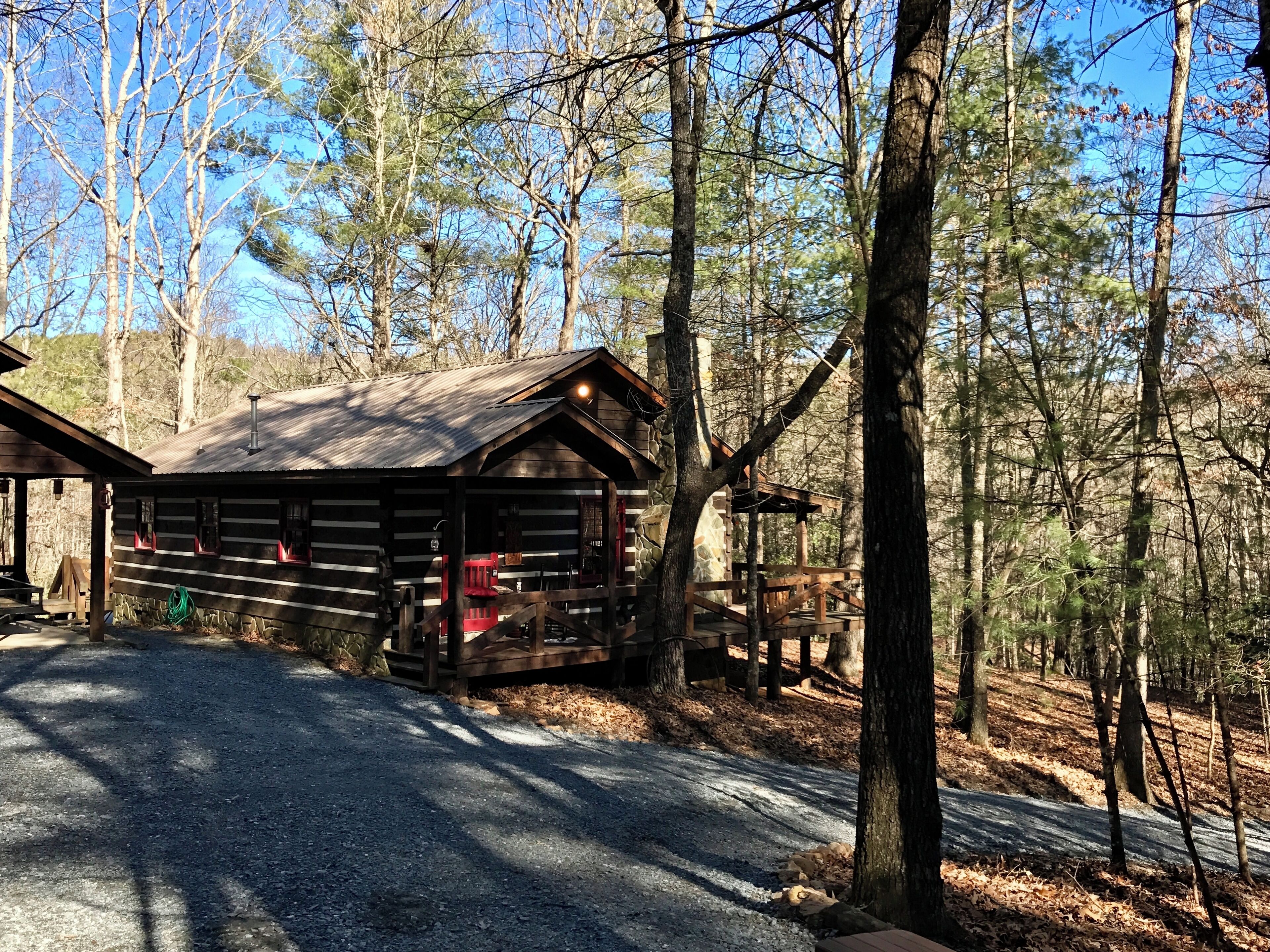 A rustic cabin with a gravel driveway, surrounded by tall trees and a clear sky.