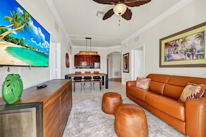 TV, video-game console, Netflix, DVD player