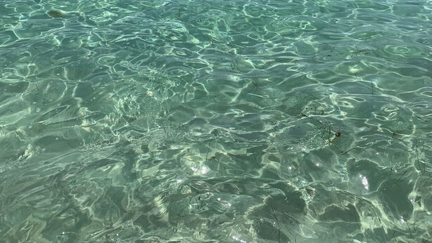 A clear view of a turquoise sea with visible underwater vegetation and a clear sky. - 🏖️GROUND FLOOR UNIT 🏖SUNSET COTTAGES😎PETS WELCOME🐾
FREEBEACHSERVICE/WI-FI  (Fort Walton Beach)