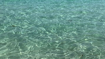 Beach nearby, sun loungers