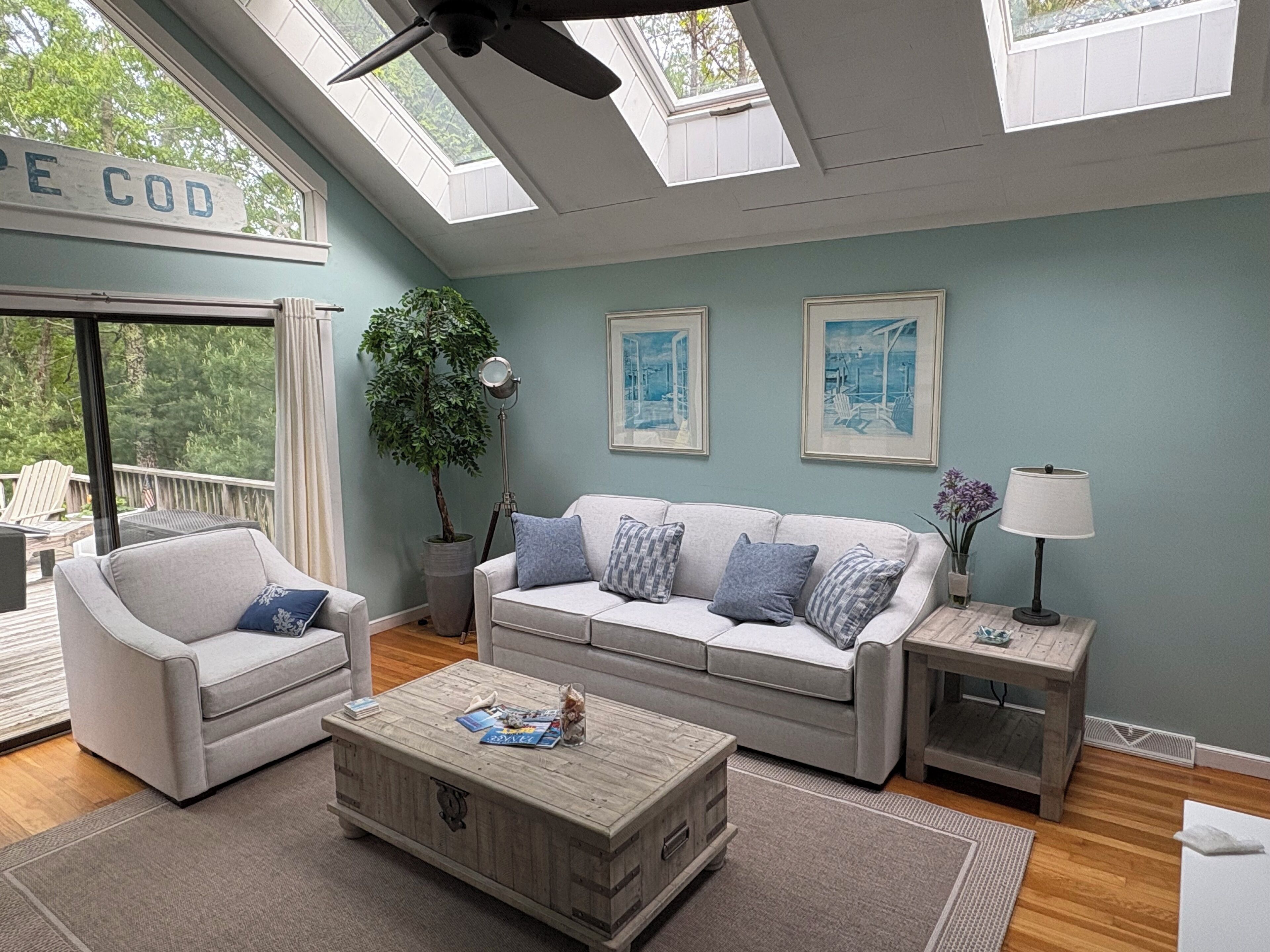 Smart TV, chimenea, reproductor de DVD y libros 