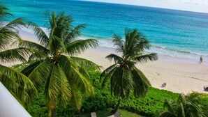 A beach with palm trees and a clear view of the ocean. - White Sand Beach Front, Turquois Blue Ocean View, Pools, Hot tub, Guarded,5 star (Christ Church)