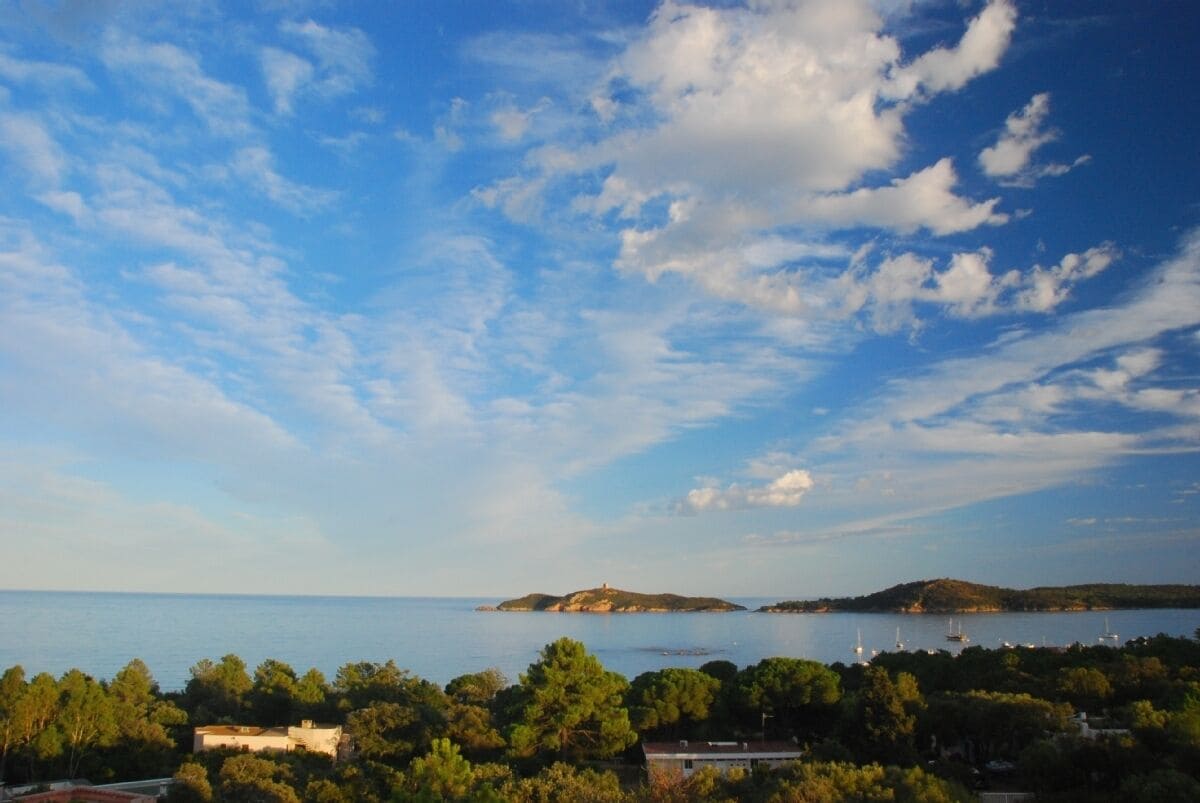 Εικόνα προφίλ οικοδεσπότη