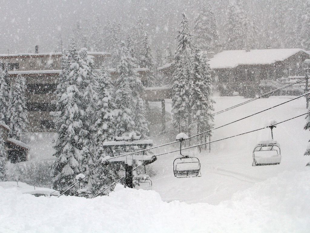 Un paysage enneigé avec un télésiège et des arbres recouverts de neige.