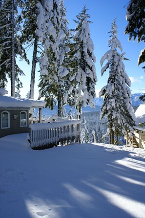 Property grounds - "Eagles Nest Cabin" REMOTE ESCAPE AWAY FROM EVERYTHING! (Leavenworth)
