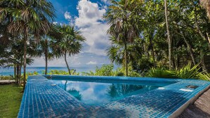 A rectangular infinity pool with blue mosaic tiles, surrounded by lush greenery and palm trees, overlooking a clear blue ocean.