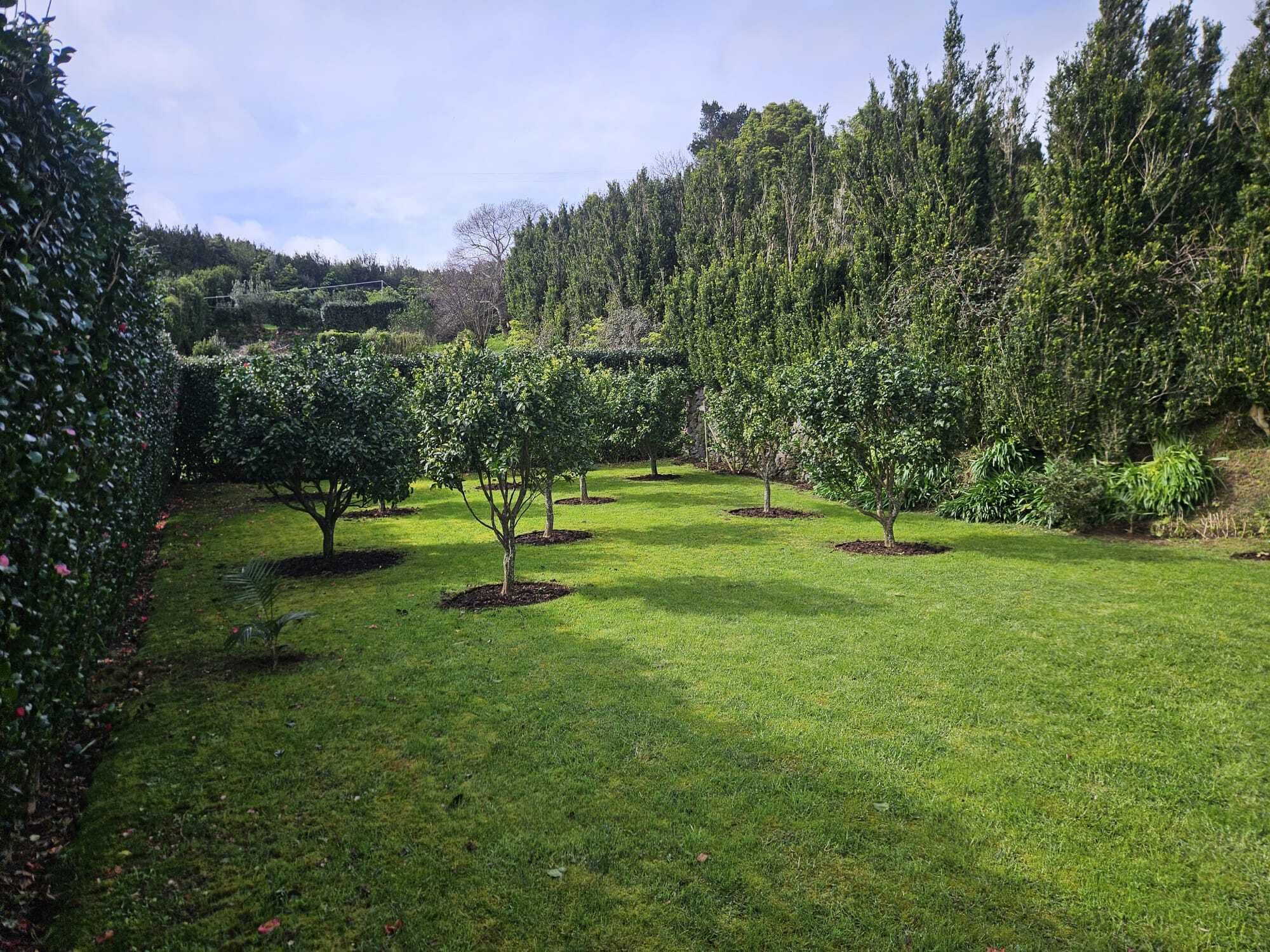 A well-maintained garden with neatly trimmed hedges and a variety of trees.