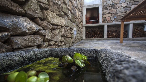 Un muro de piedra con un banco de piedra y una pequeña fuente rodeada de plantas verdes.