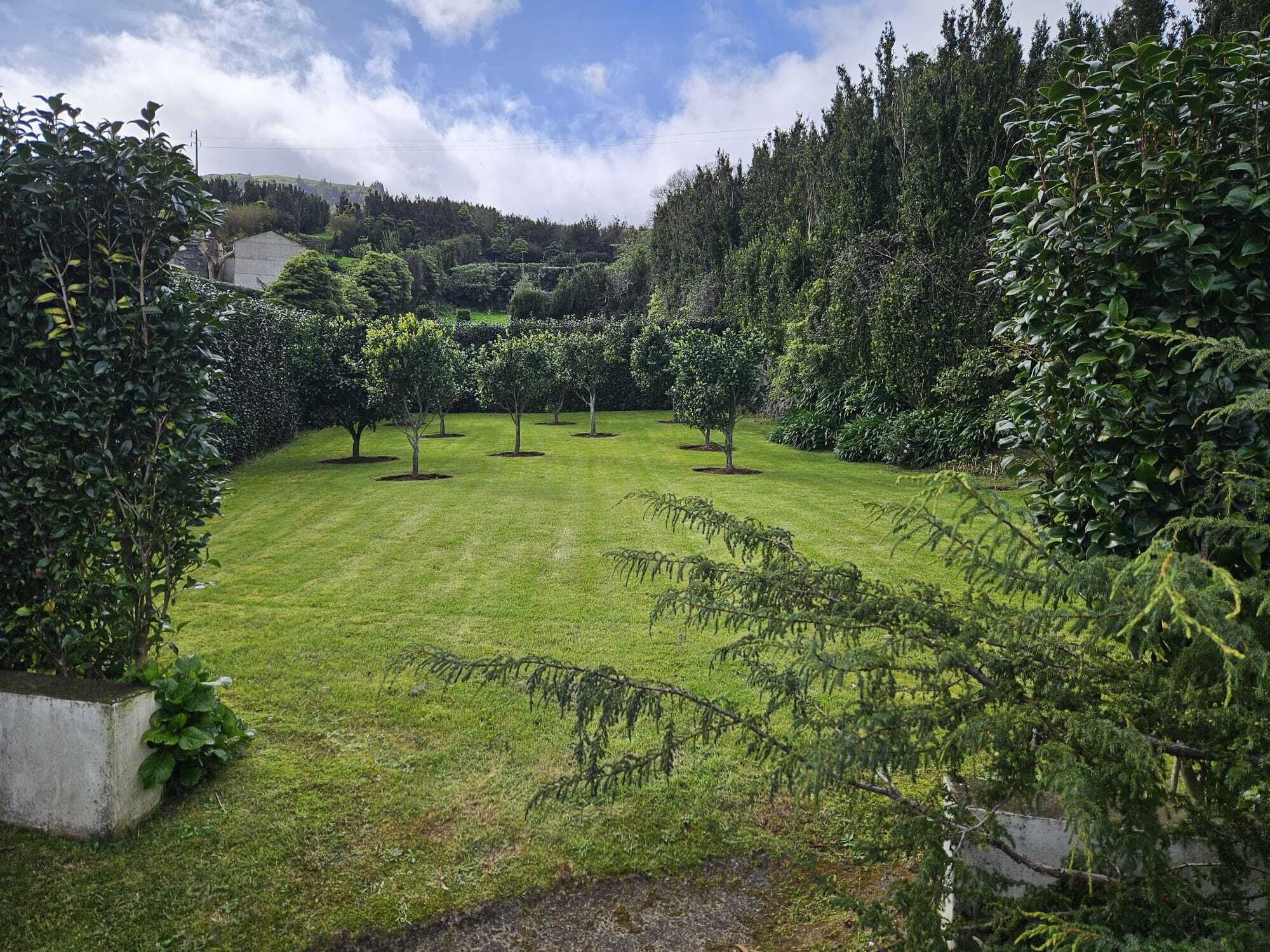 A well-maintained garden with a variety of trees and shrubs, a neatly trimmed lawn, and a clear sky.