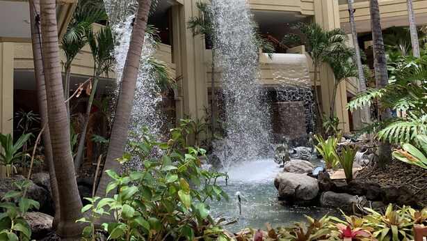 Un élément décoratif aquatique composé de cascades et de ruisseaux, entouré de plantes tropicales et agrémenté d’un sentier en pierre.