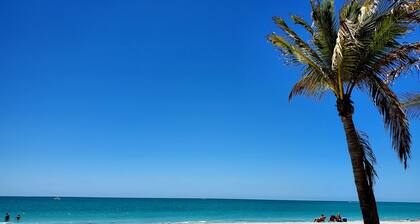 Vélos gratuits, kayaks, SUP et plus encore! Faites-vous plaisir avec des équipements inégalés!