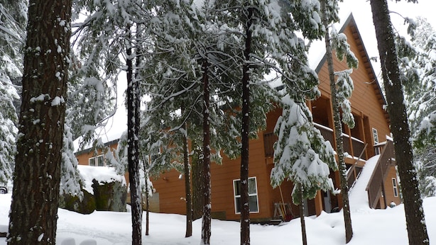 Una baita di legno circondata da alberi innevati.