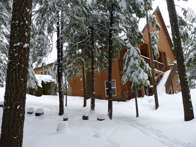 Natal Granite Multi-family retreat, fast WiFi, AC, Shaver Lake forested area