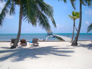 Ein Strand mit Palmen, Liegestühlen und einem Steg, der ins Wasser führt.