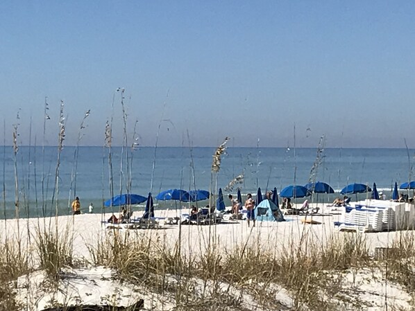 On the beach - Pier Park and Aaron Bissant Park within walking distance!   (Panama City Beach)