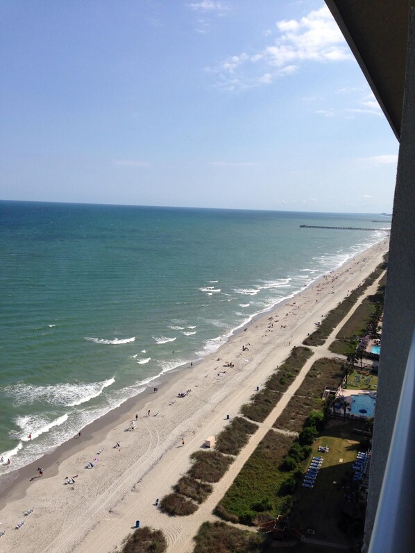 On the beach - Newly Upgraded Oceanfront Deluxe 1-Bedroom Condo, Free WIFI (Myrtle Beach)